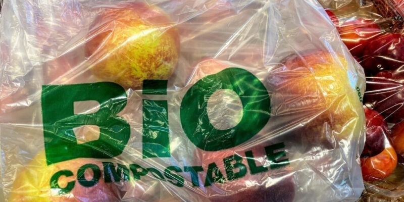 Упаковка из отходов пищевой промышленности