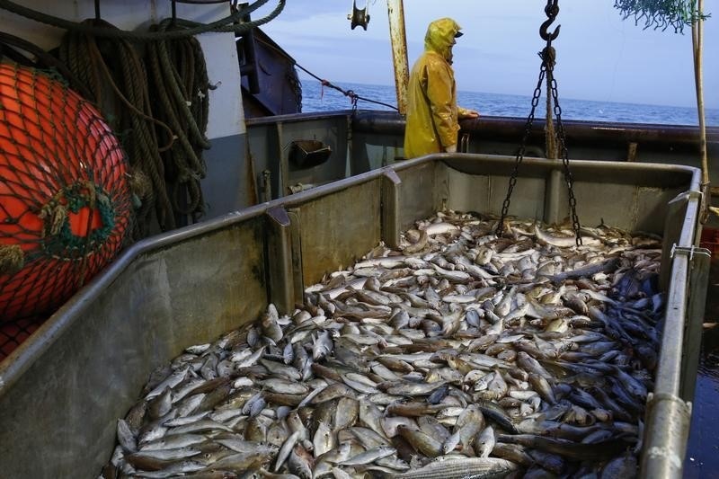 Запасы в Инарктике упали из-за усиления запрета США на импорт российской рыбы