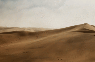 «С 2,5 млн. кубов песка можно заработать 250-350 миллионов рублей», - владелец песчаного карьера