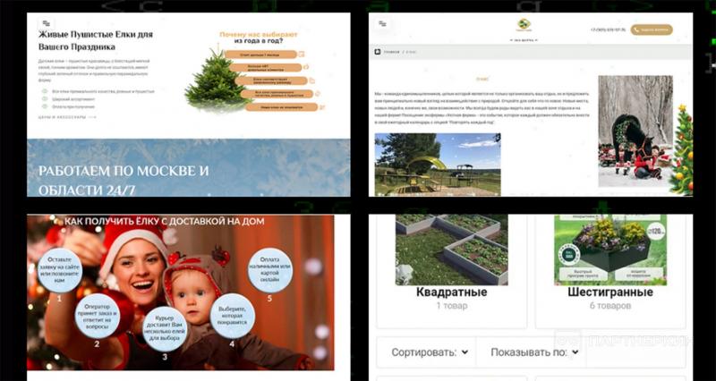Работа российского ИТ-бизнеса и влияние кризиса на нишевые рынки