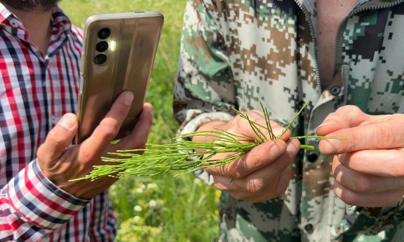 Современные чайные дома реагируют на кризис и экономические вызовы